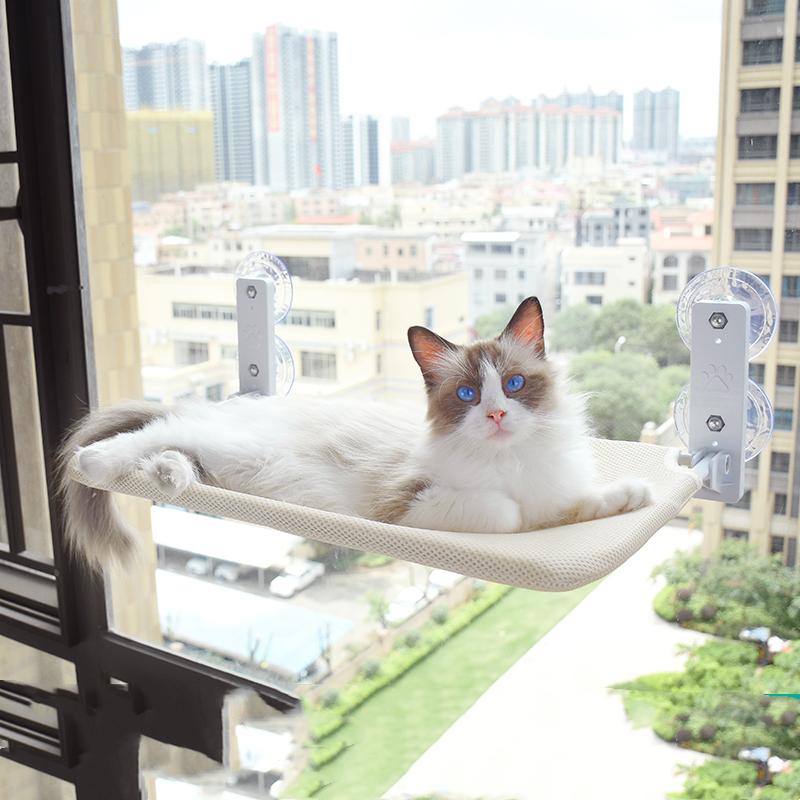 Cat Bed Hammock on Glass