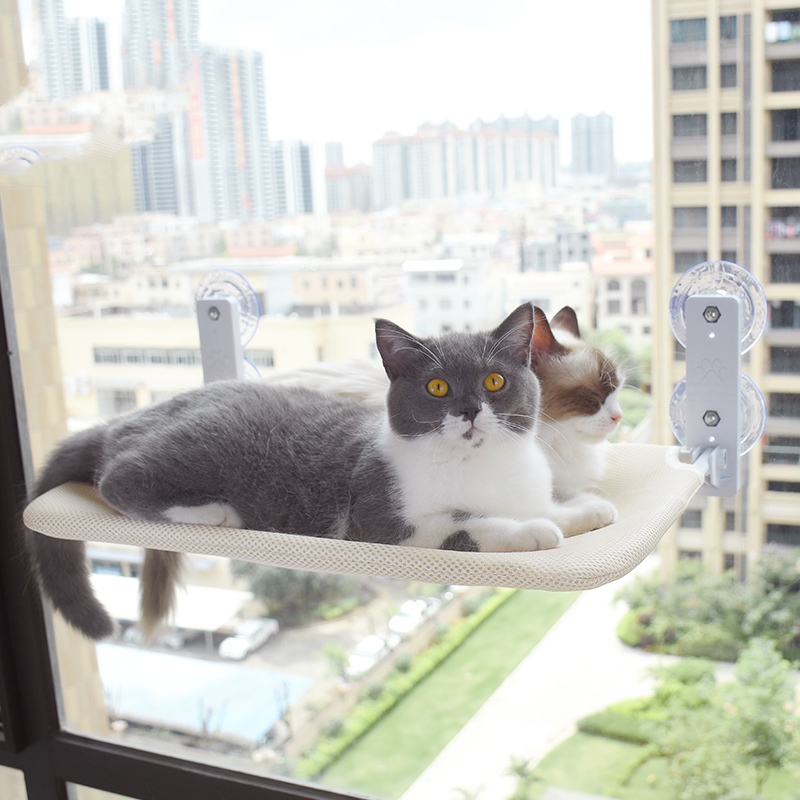 Cat Bed Hammock on Glass