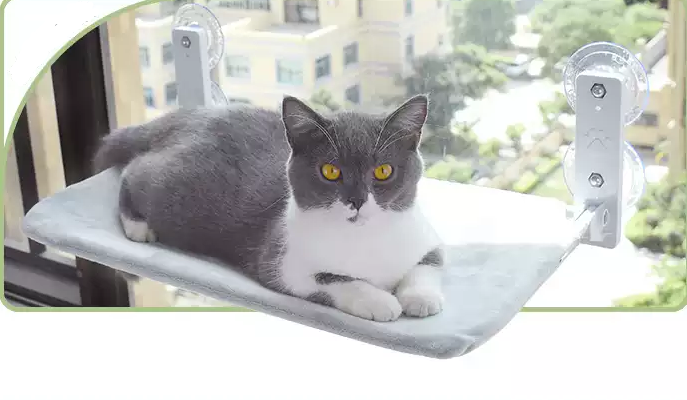 Cat Bed Hammock on Glass