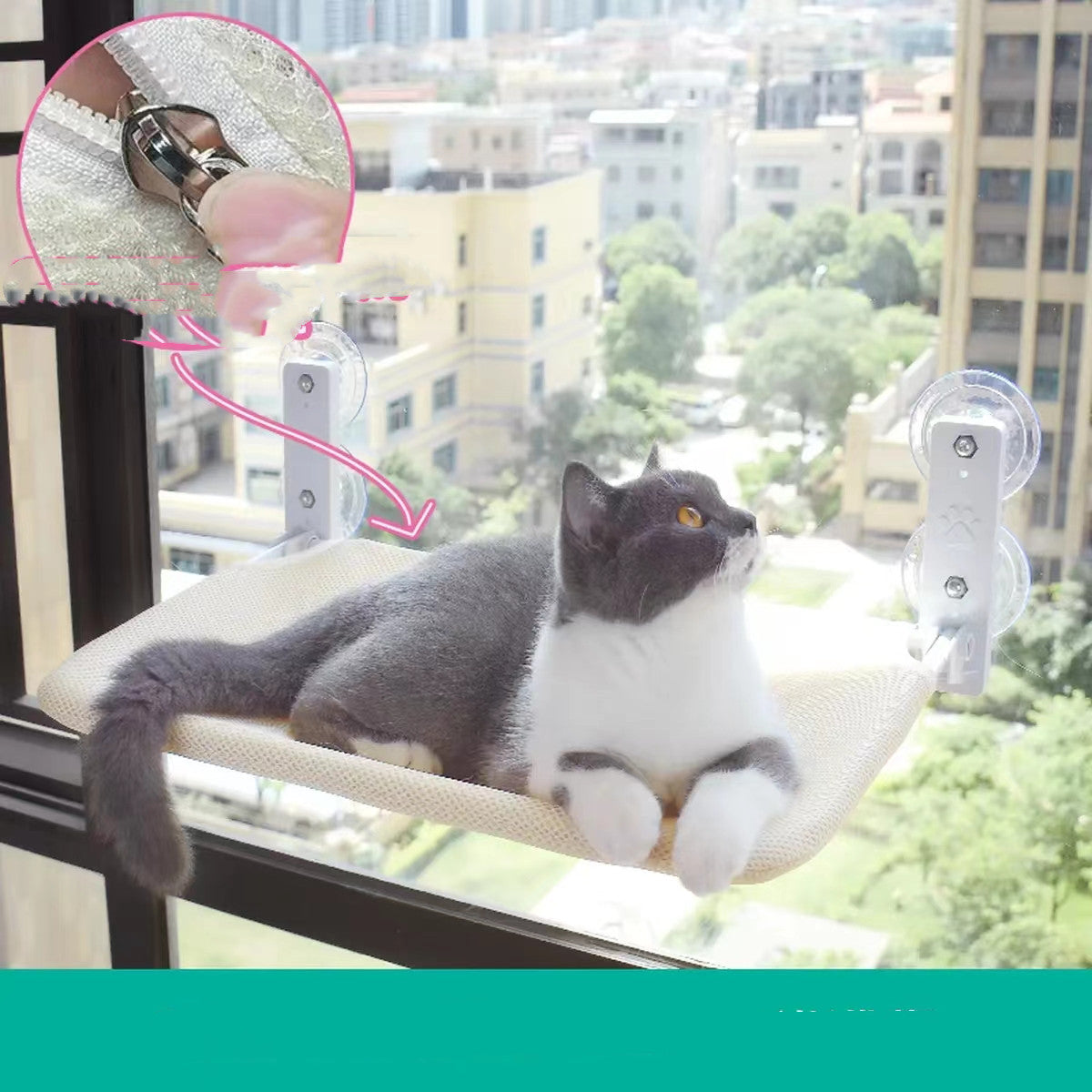 Cat Bed Hammock on Glass