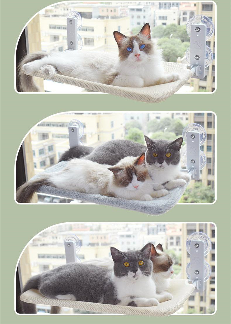 Cat Bed Hammock on Glass